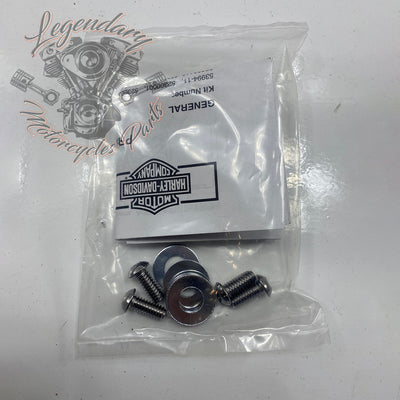 Plaques latérales réglables de sissy bar OEM 52300003