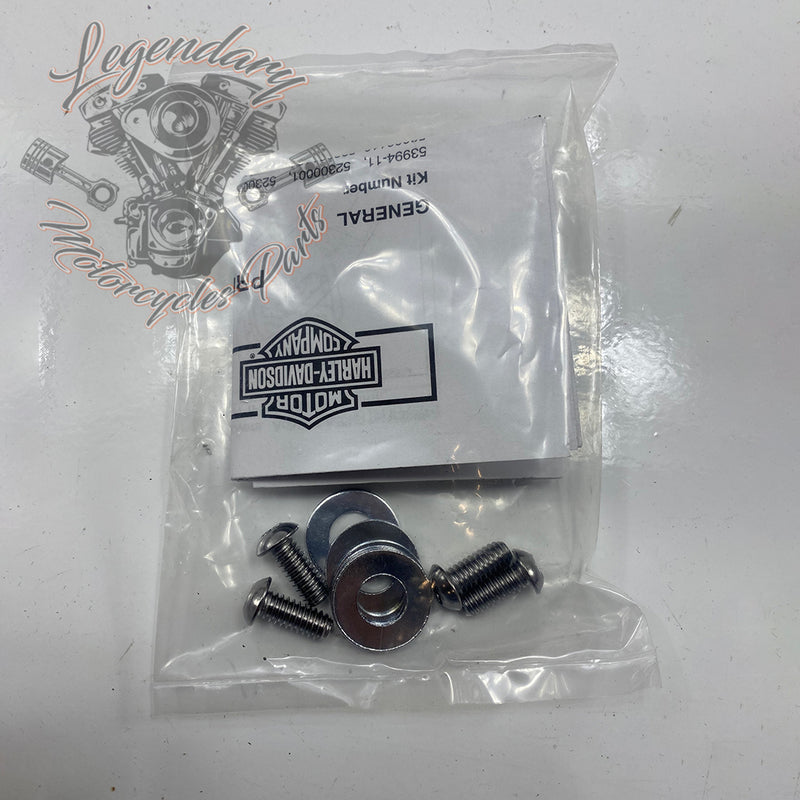 Plaques latérales réglables de sissy bar OEM 52300003
