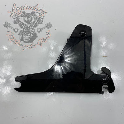 Plaques latérales réglables de sissy bar OEM 52300003