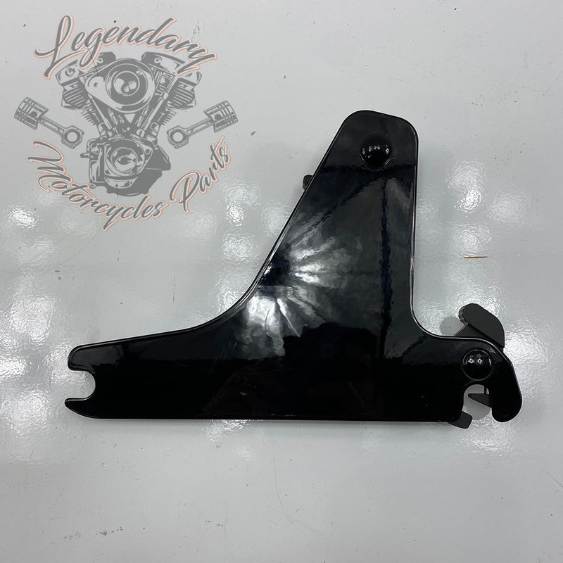 Plaques latérales réglables de sissy bar OEM 52300003