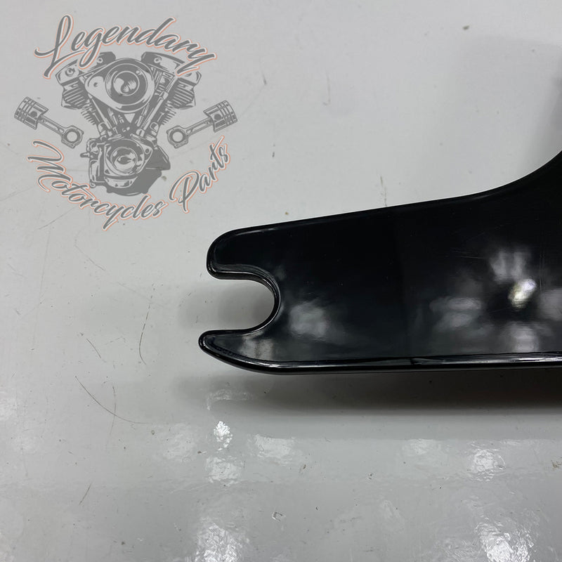Plaques latérales réglables de sissy bar OEM 52300003