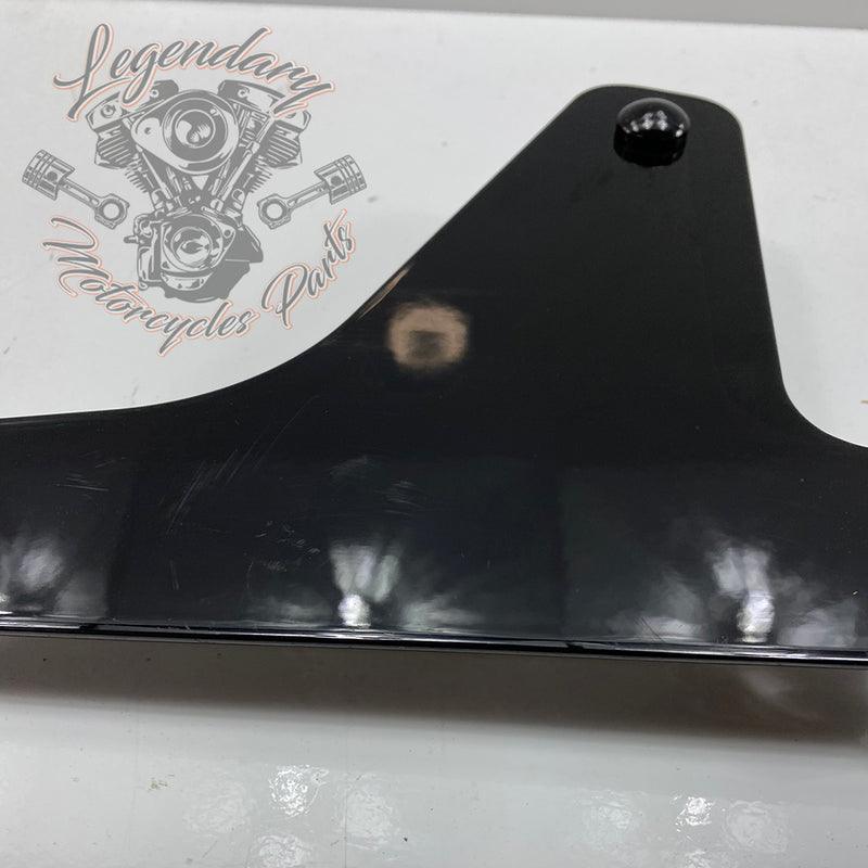 Plaques latérales réglables de sissy bar OEM 52300003