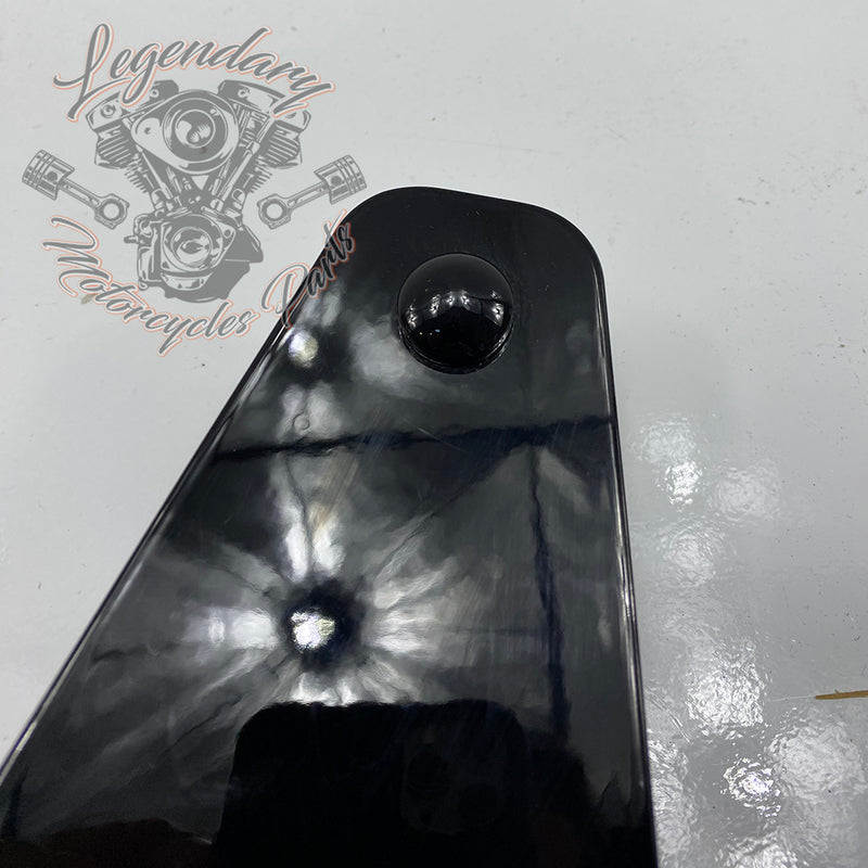 Plaques latérales réglables de sissy bar OEM 52300003