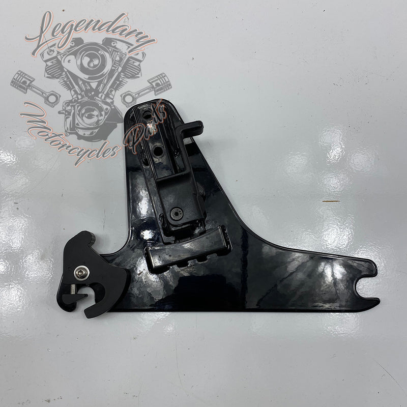 Plaques latérales réglables de sissy bar OEM 52300003