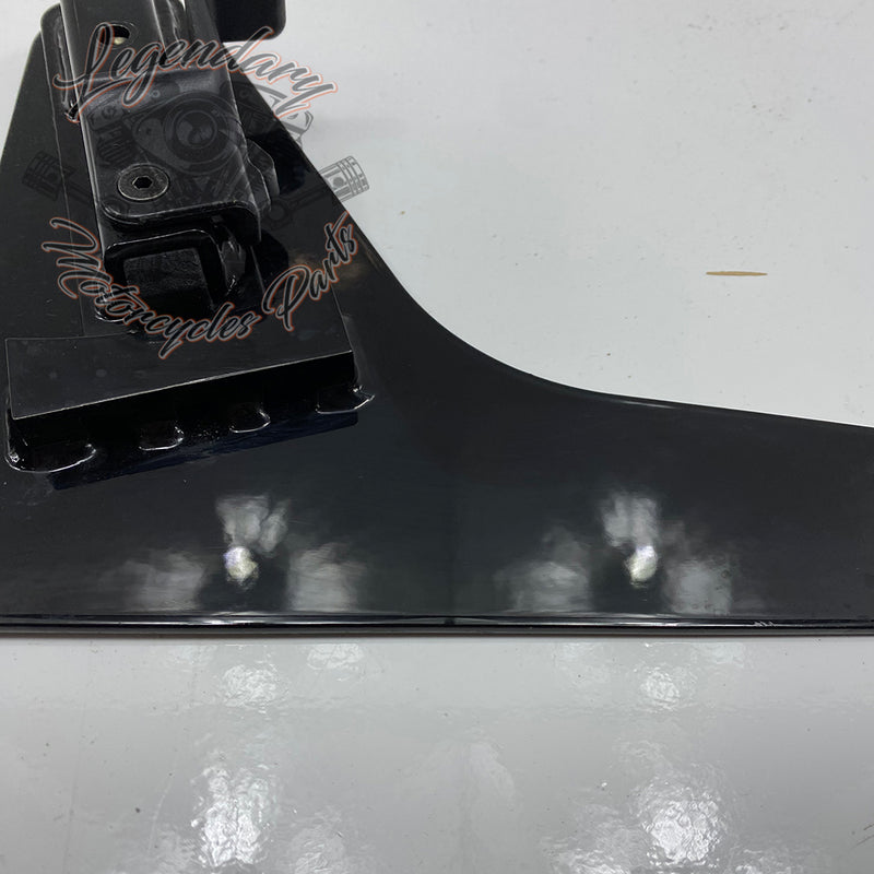 Plaques latérales réglables de sissy bar OEM 52300003