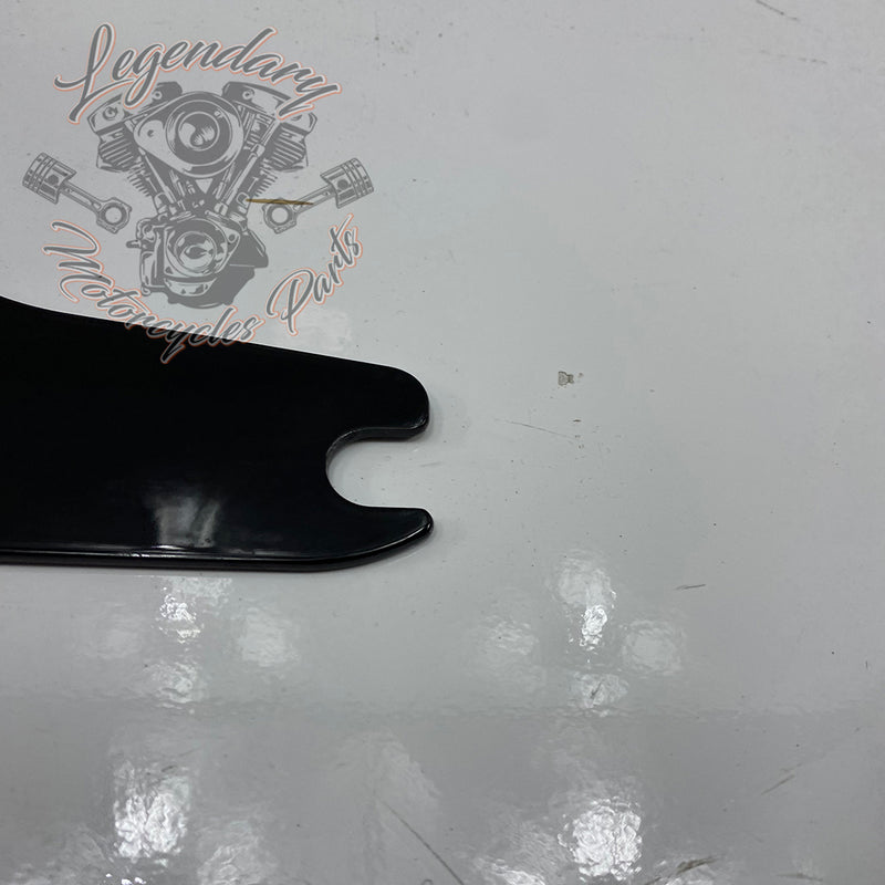 Plaques latérales réglables de sissy bar OEM 52300003