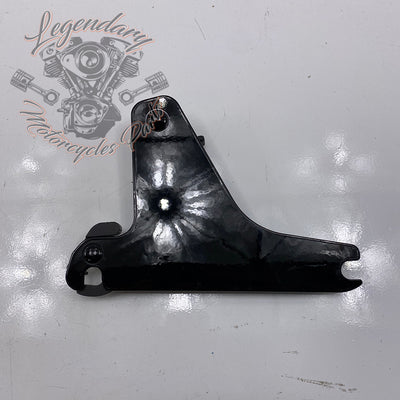 Plaques latérales réglables de sissy bar OEM 52300003