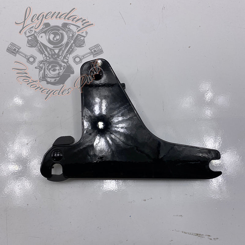 Plaques latérales réglables de sissy bar OEM 52300003