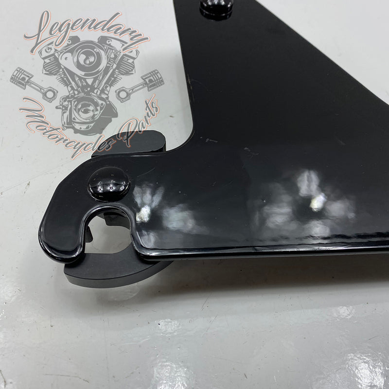 Plaques latérales réglables de sissy bar OEM 52300003