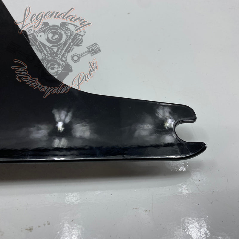 Plaques latérales réglables de sissy bar OEM 52300003