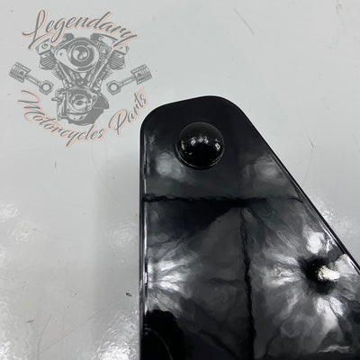 Plaques latérales réglables de sissy bar OEM 52300003