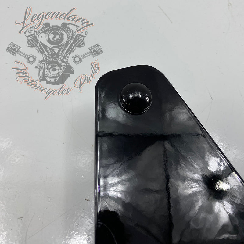 Plaques latérales réglables de sissy bar OEM 52300003