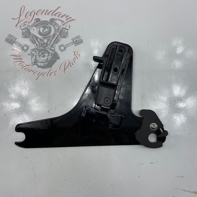 Plaques latérales réglables de sissy bar OEM 52300003