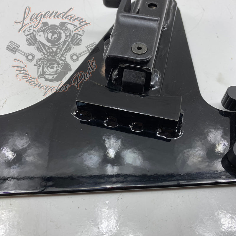 Plaques latérales réglables de sissy bar OEM 52300003