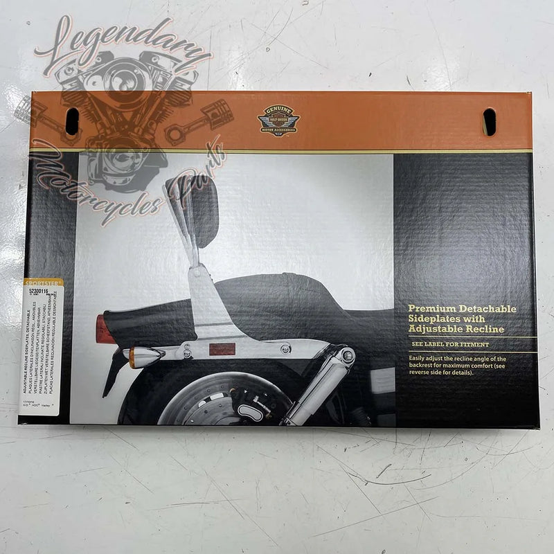 Plaques latérales de sissy bar réglables OEM 52300116