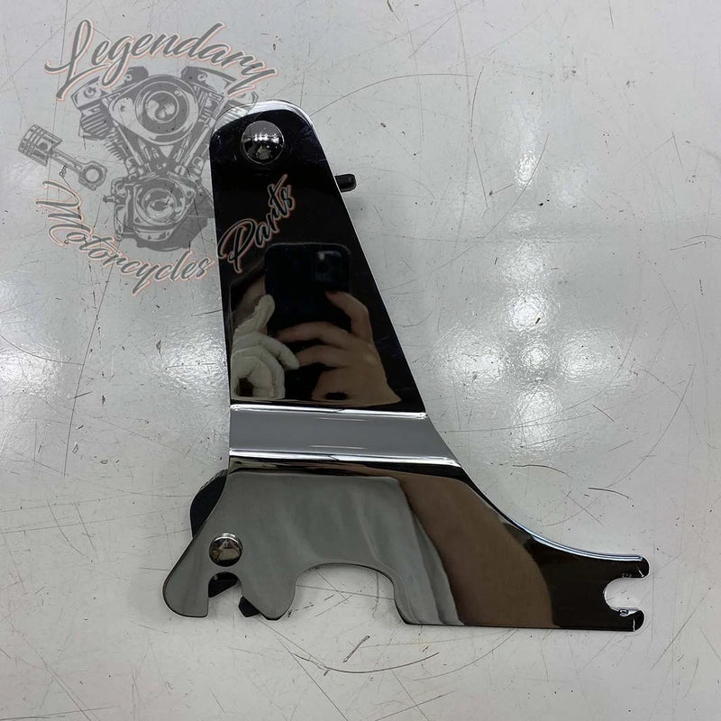 Plaques latérales de sissy bar réglables OEM 52300116