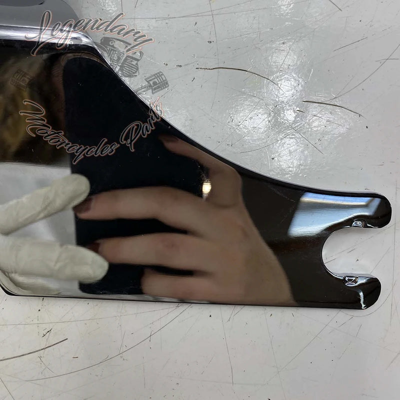 Plaques latérales de sissy bar réglables OEM 52300116