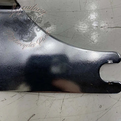 Plaques latérales de sissy bar réglables OEM 52300116