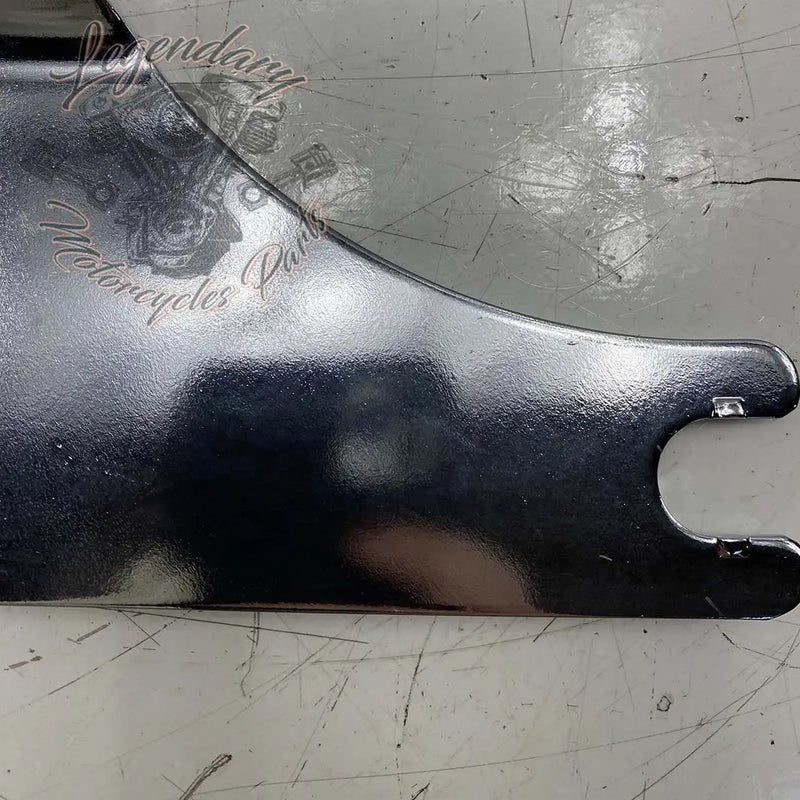 Plaques latérales de sissy bar réglables OEM 52300116