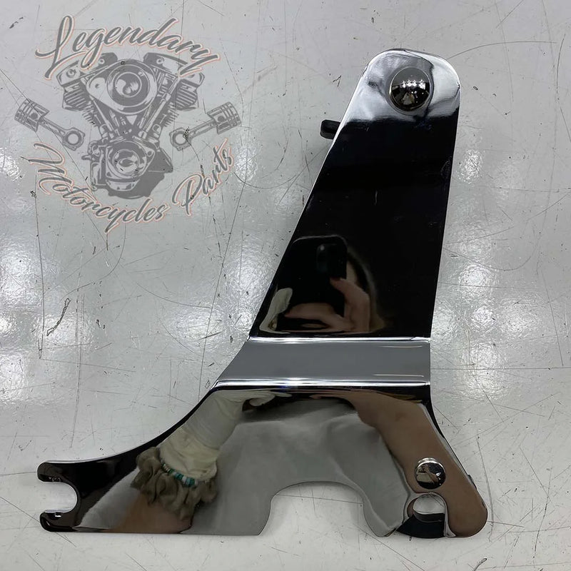 Plaques latérales de sissy bar réglables OEM 52300116