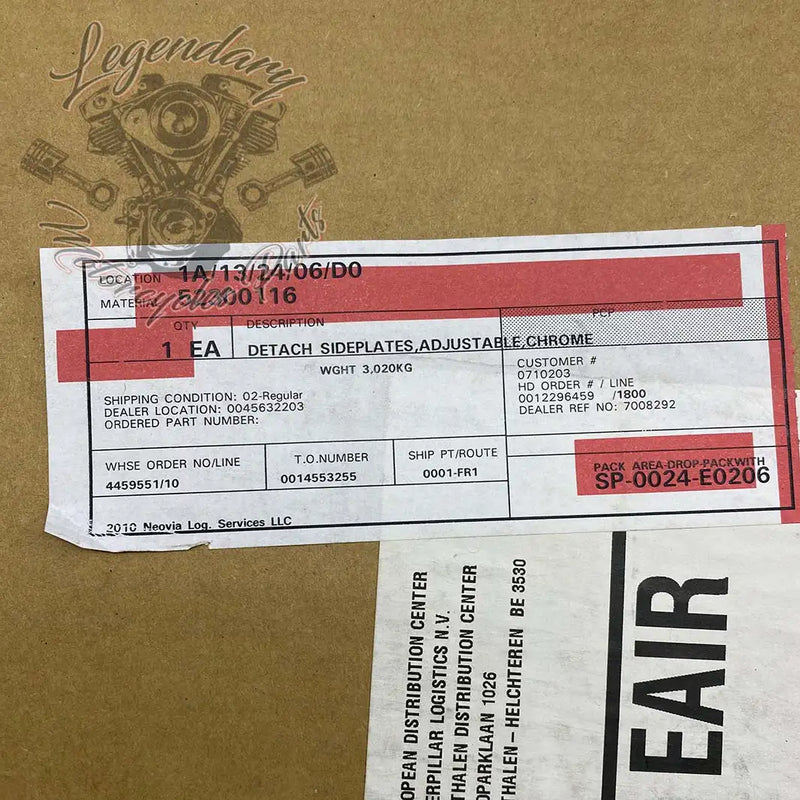 Plaques latérales de sissy bar réglables OEM 52300116
