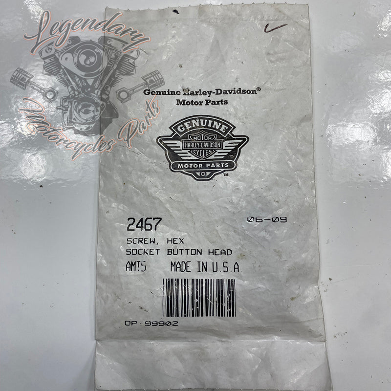 Visor OEM 2467