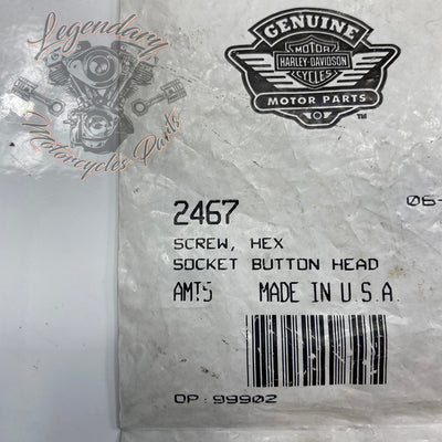 Visor OEM 2467