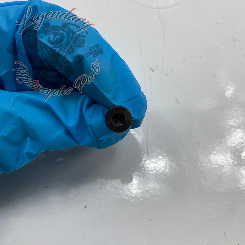 Vis OEM 2806