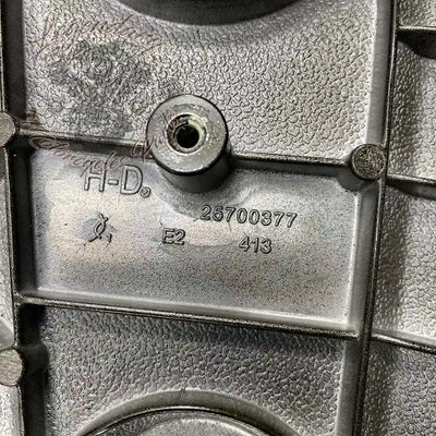 Zewnętrzny pierwotny korpus OEM 25700377 (25700491)