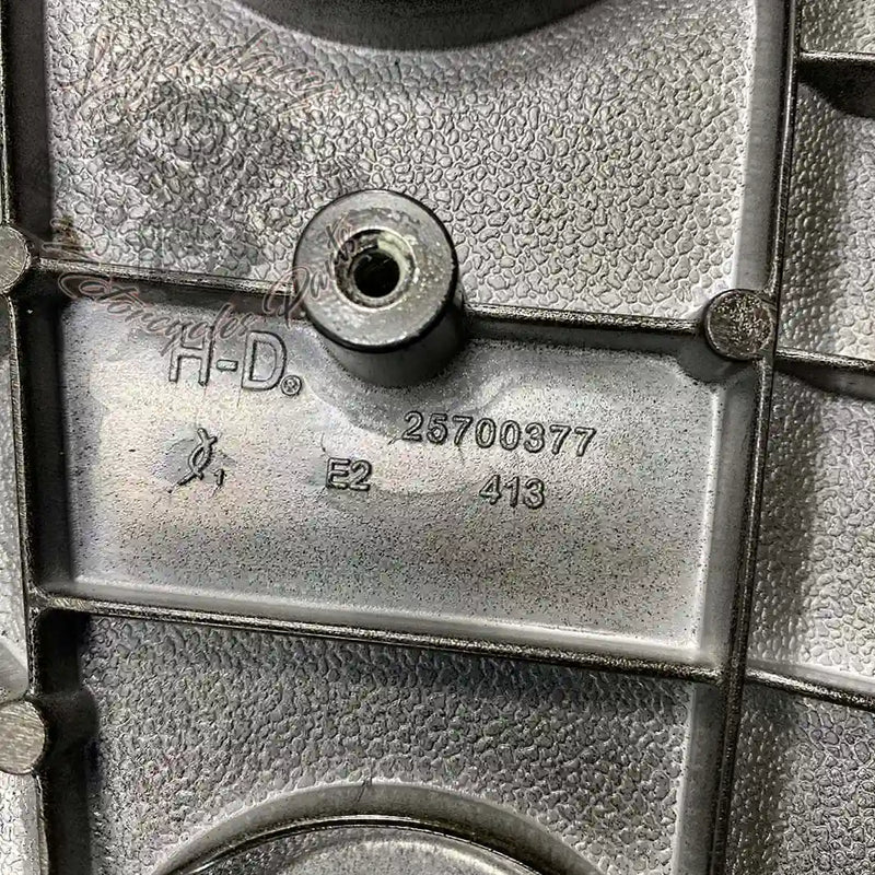 Zewnętrzny pierwotny korpus OEM 25700377 (25700491)