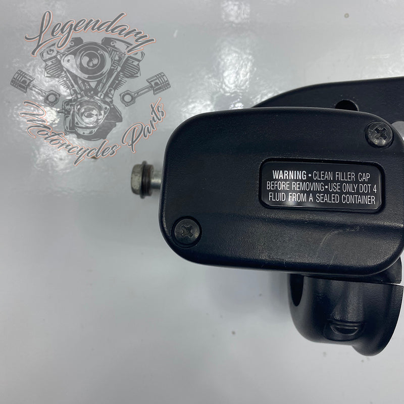 Front Brake Lever and Master Cylinder OEM 41700233