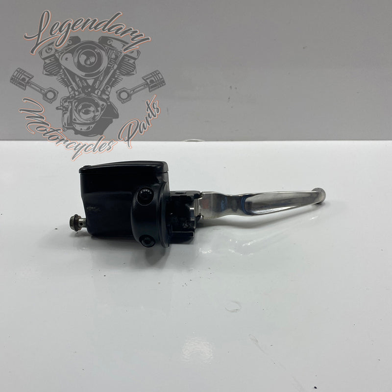 Front Brake Lever and Master Cylinder OEM 41700233