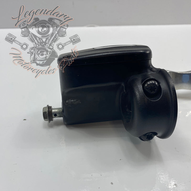 Front Brake Lever and Master Cylinder OEM 41700233