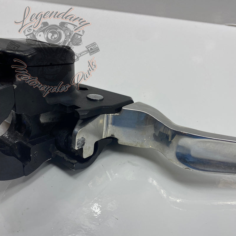 Front Brake Lever and Master Cylinder OEM 41700233