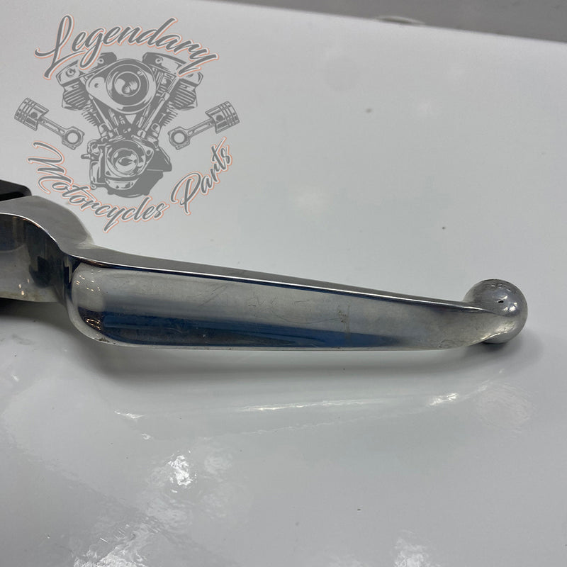Front Brake Lever and Master Cylinder OEM 41700233
