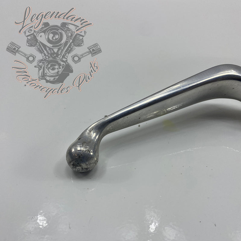 Front Brake Lever and Master Cylinder OEM 41700233