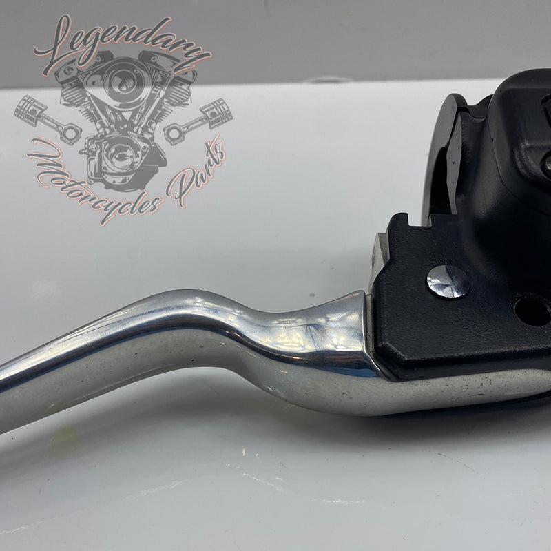 Front Brake Lever and Master Cylinder OEM 41700233