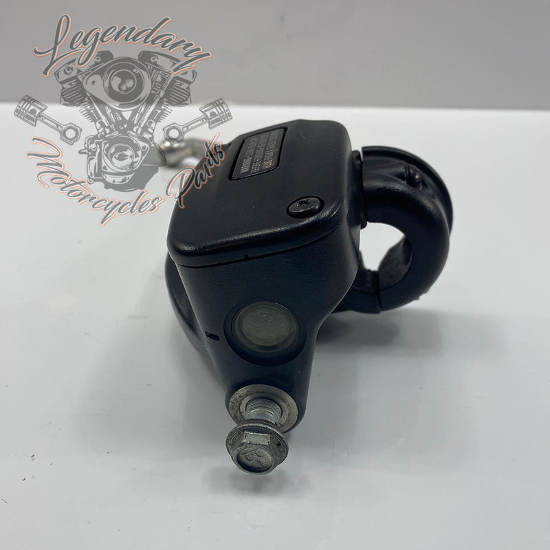 Front Brake Lever and Master Cylinder OEM 41700233