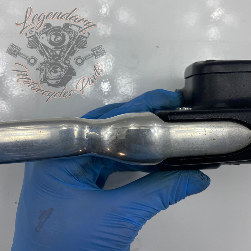 Front Brake Lever and Master Cylinder OEM 41700233