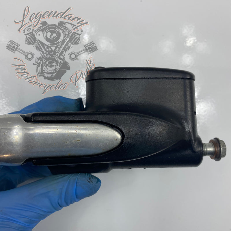 Front Brake Lever and Master Cylinder OEM 41700233