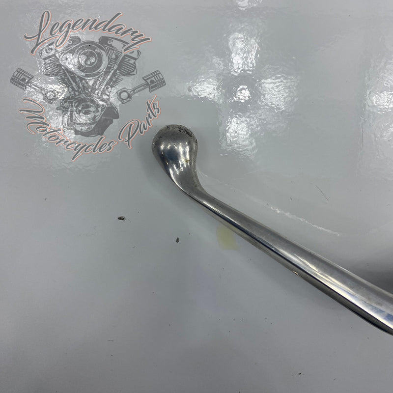 Front Brake Lever and Master Cylinder OEM 41700233