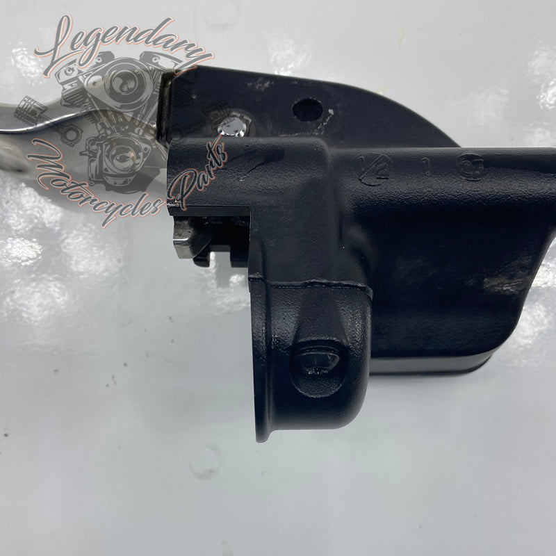 Front Brake Lever and Master Cylinder OEM 41700233
