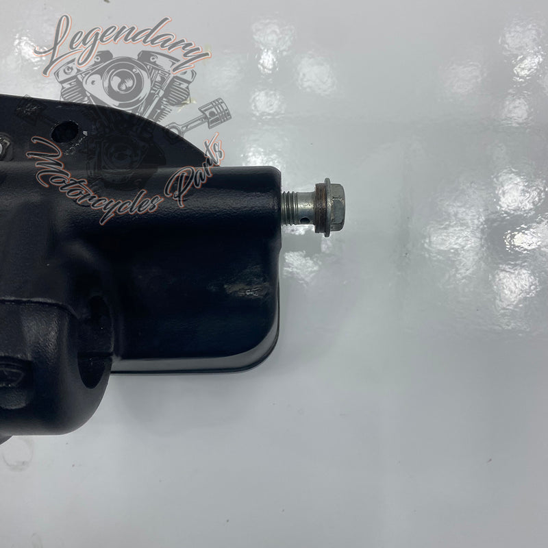 Front Brake Lever and Master Cylinder OEM 41700233