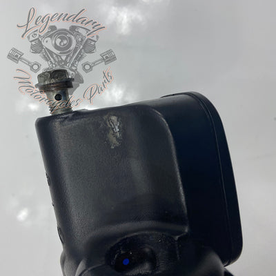 Front Brake Lever and Master Cylinder OEM 41700233