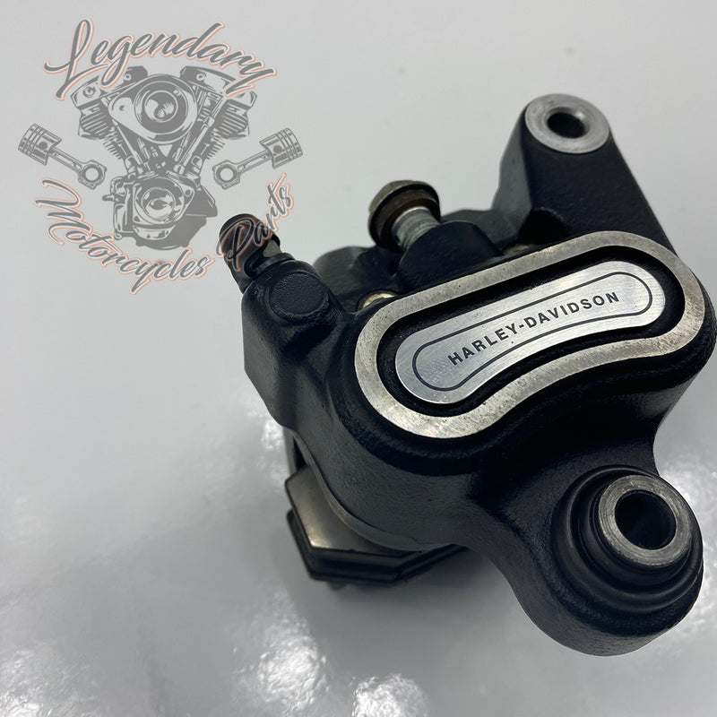 Étrier de freno trasero OEM 41300192