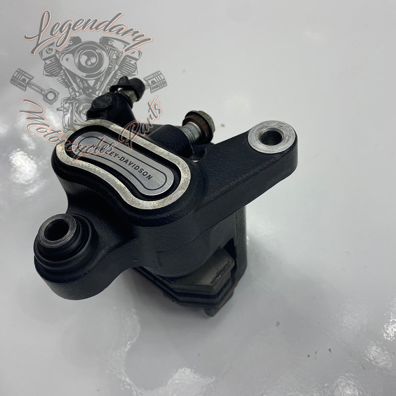 Étrier de freno trasero OEM 41300192