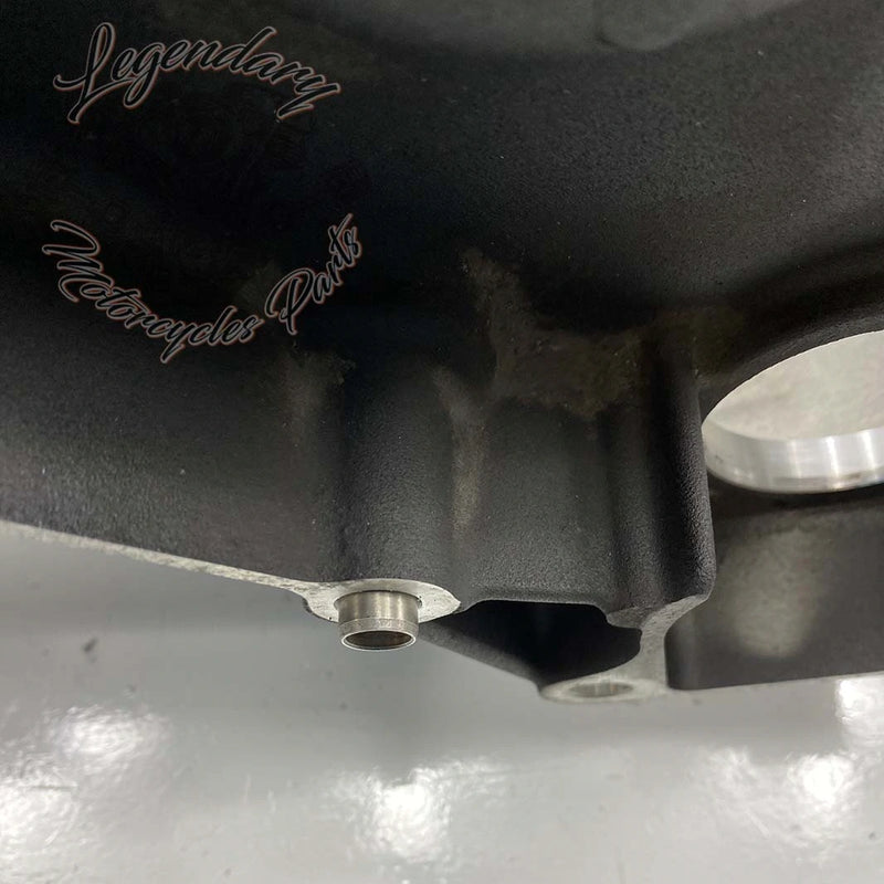 Wewnętrzny korpus pierwotny OEM 36500096 (36500052)