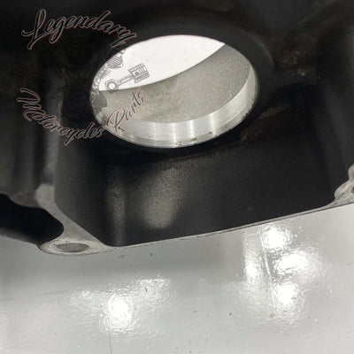 Wewnętrzny korpus pierwotny OEM 36500096 (36500052)