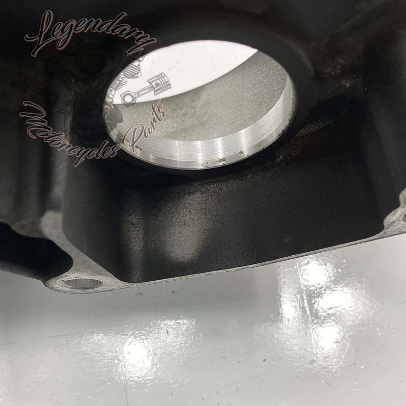 Wewnętrzny korpus pierwotny OEM 36500096 (36500052)