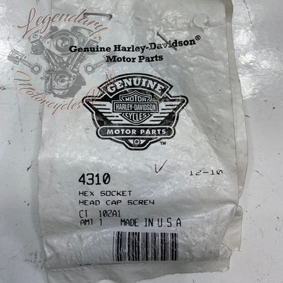Visor OEM 4310